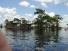17hendersonSwamp2.jpg